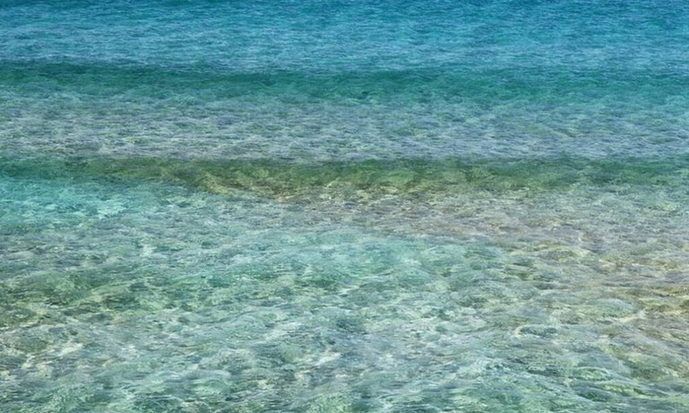 Λαχτάρα για τους λουόμενους στη Μάνη: Δείτε τι βρήκαν στην παραλία