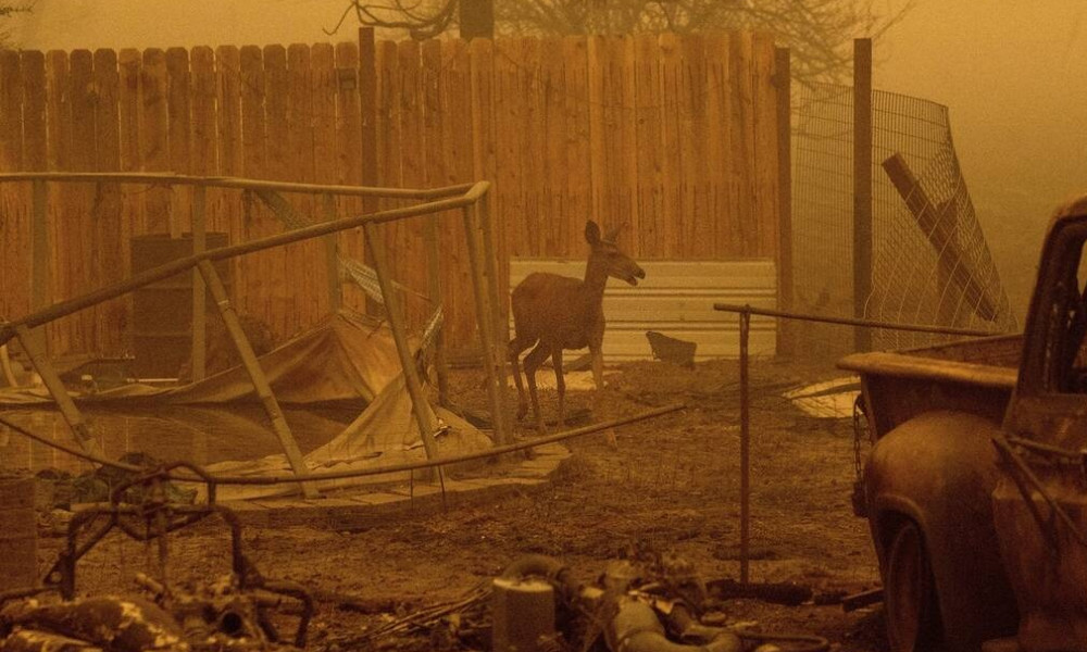 ΗΠΑ: Σαββατοκύριακο τρόμου στις δυτικές πολιτείες λόγω των ανεξέλεγκτων πυρκαγιών