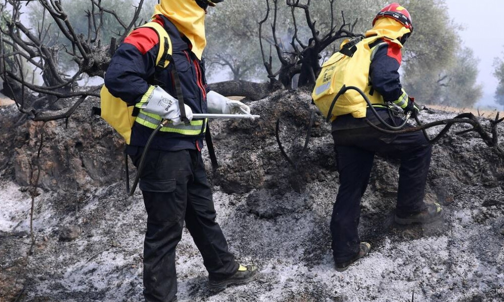 Πυρκαγιές στην Ελλάδα 1980 – 2020: Τα τελευταία 41 χρόνια έχει καεί το 14% της Ελλάδας