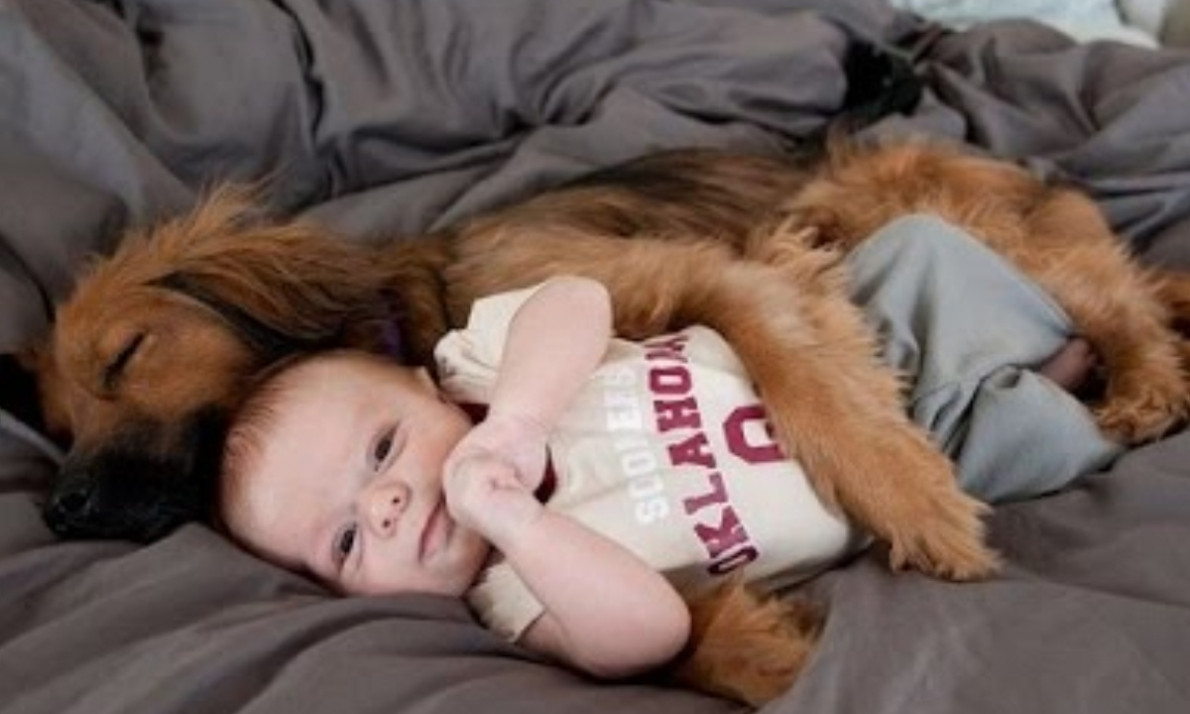 Μωρά απολαμβάνουν τη φροντίδα των τετράποδων φίλων τους - Απολαυστικές στιγμές (vid)