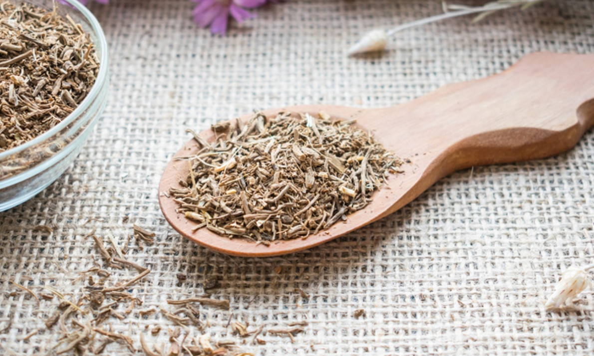 Βαλεριάνα: Οι μοναδικές ιδιότητες της θαυματουργής ρίζας (video)