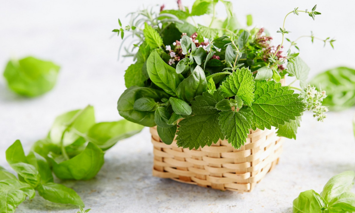 Βότανα και μυρωδικά που διευκολύνουν την απώλεια βάρους (video)