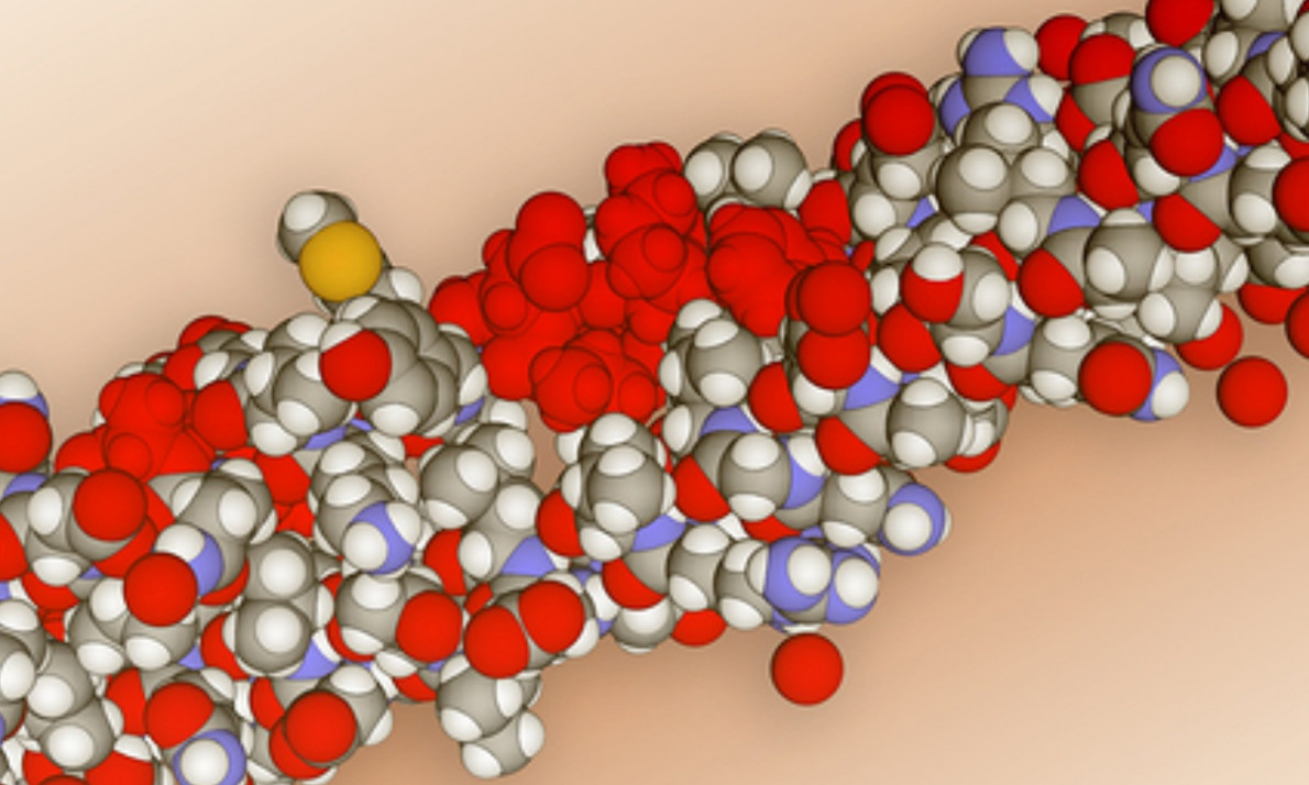 Κερατίνη: Πού θα βρείτε την απαραίτητη πρωτεΐνη για μαλλιά, νύχια και δέρμα (εικόνες)