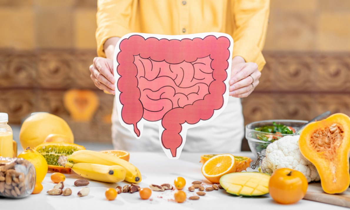 Οι εξωγενείς παράγοντες που επιβαρύνουν την υγεία του εντέρου (εικόνες)