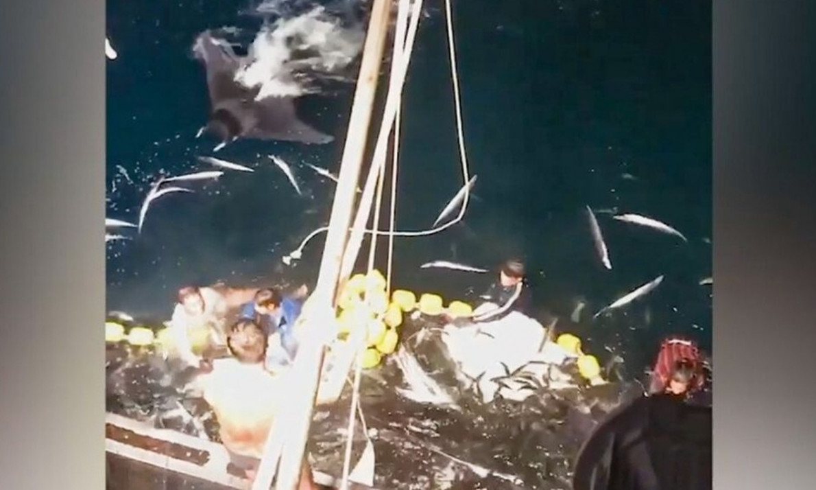 Ψαράδες σηκώνουν τα δίχτυα και παθαίνουν σοκ! Απίθανο αυτό που κάνουν... (video)