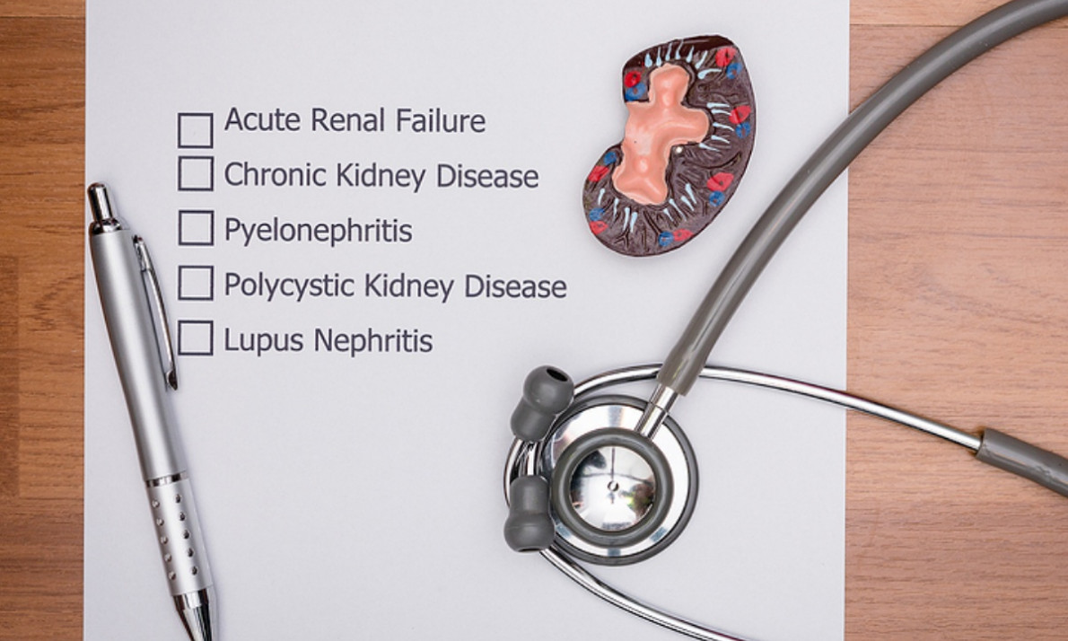 Οι επιπτώσεις της πίεσης και του υψηλού σακχάρου στα νεφρά – Πώς θα τα προστατέψετε (εικόνες)