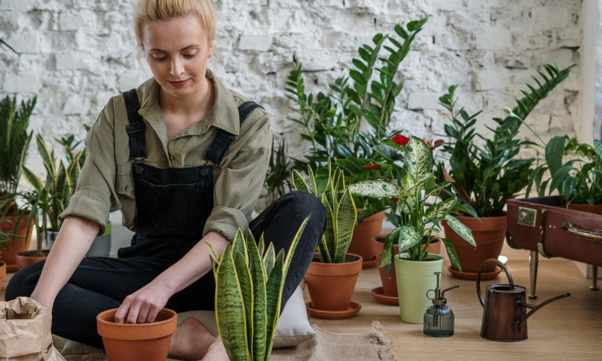 Τα φυτά που διώχνουν μακριά τα κουνούπια: Φύτεψέ τα τώρα στο μπαλκόνι (photos)