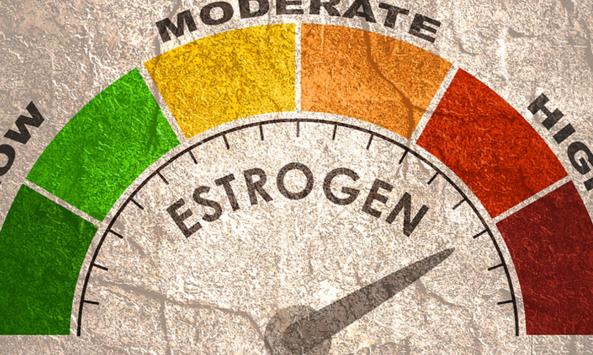 Αυξημένα οιστρογόνα: Οι πιθανές επιπλοκές για την υγεία (εικόνες)