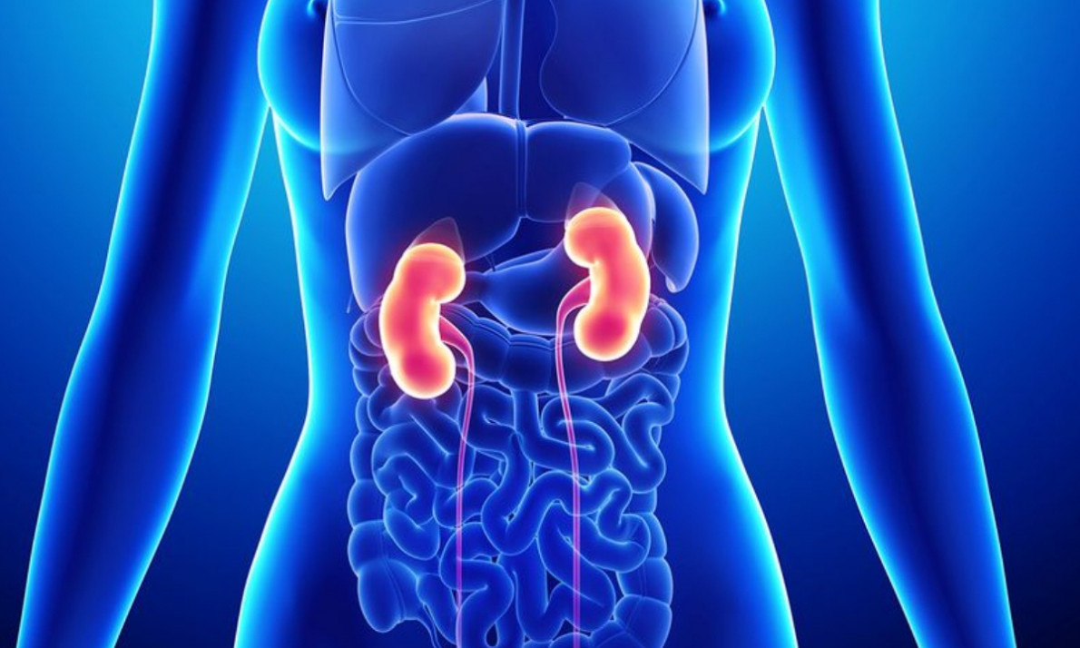 5 παθήσεις που απειλούν τα νεφρά (εικόνες)