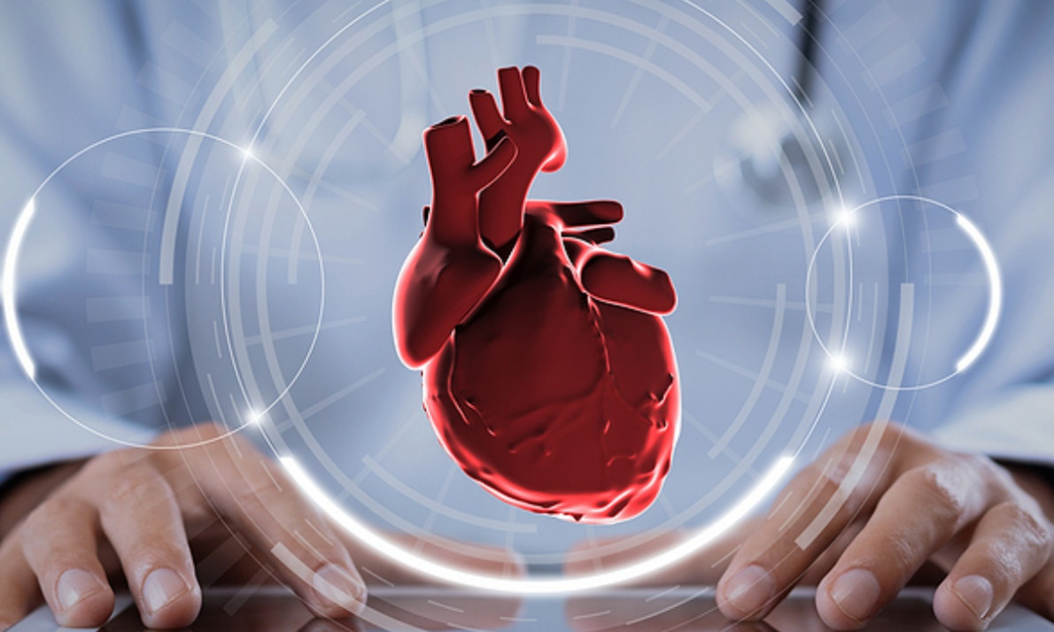 Υπερτροφική μυοκαρδιοπάθεια: Ποια είναι τα κοινά συμπτώματα (εικόνες)