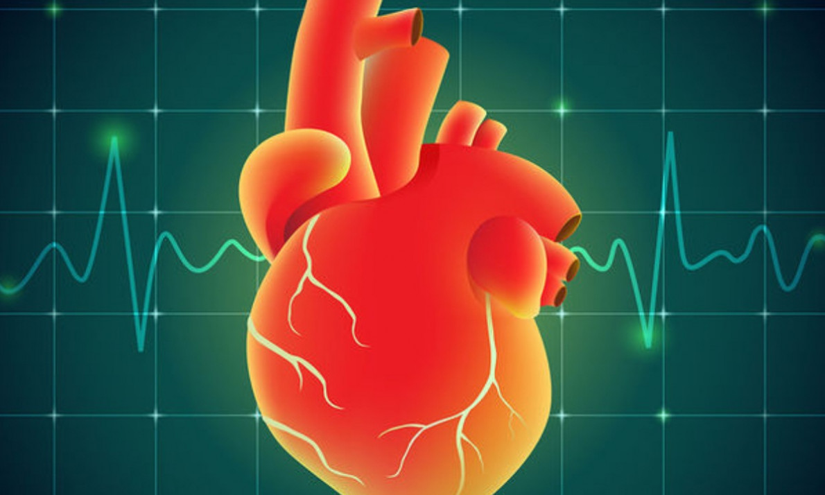 Βαλβίδες καρδιάς: Σημάδια ότι δεν λειτουργούν φυσιολογικά (εικόνες)