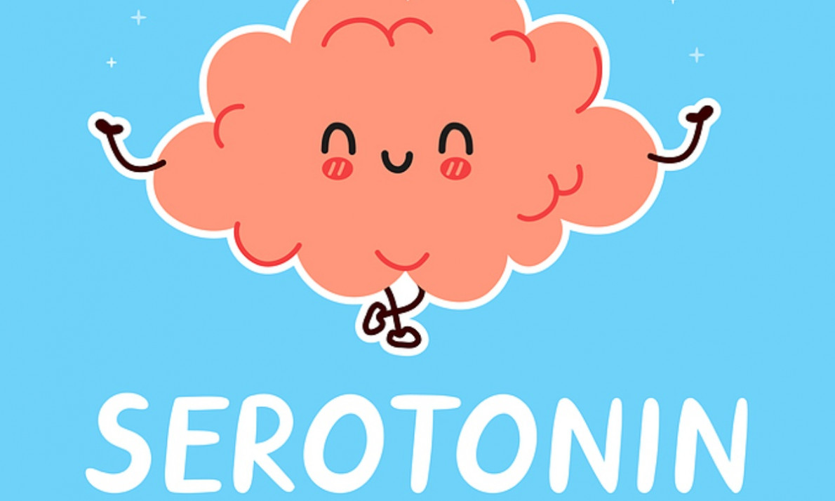 Σεροτονίνη: Η ορμόνη της καλής διάθεσης & πώς θα την αυξήσετε φυσικά (εικόνες)