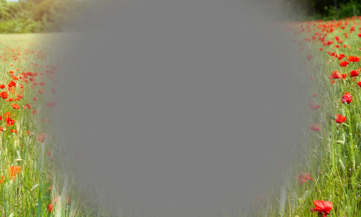 Εκφύλιση ωχράς κηλίδας: Οι παράγοντες κινδύνου πλην της ηλικίας (εικόνες)