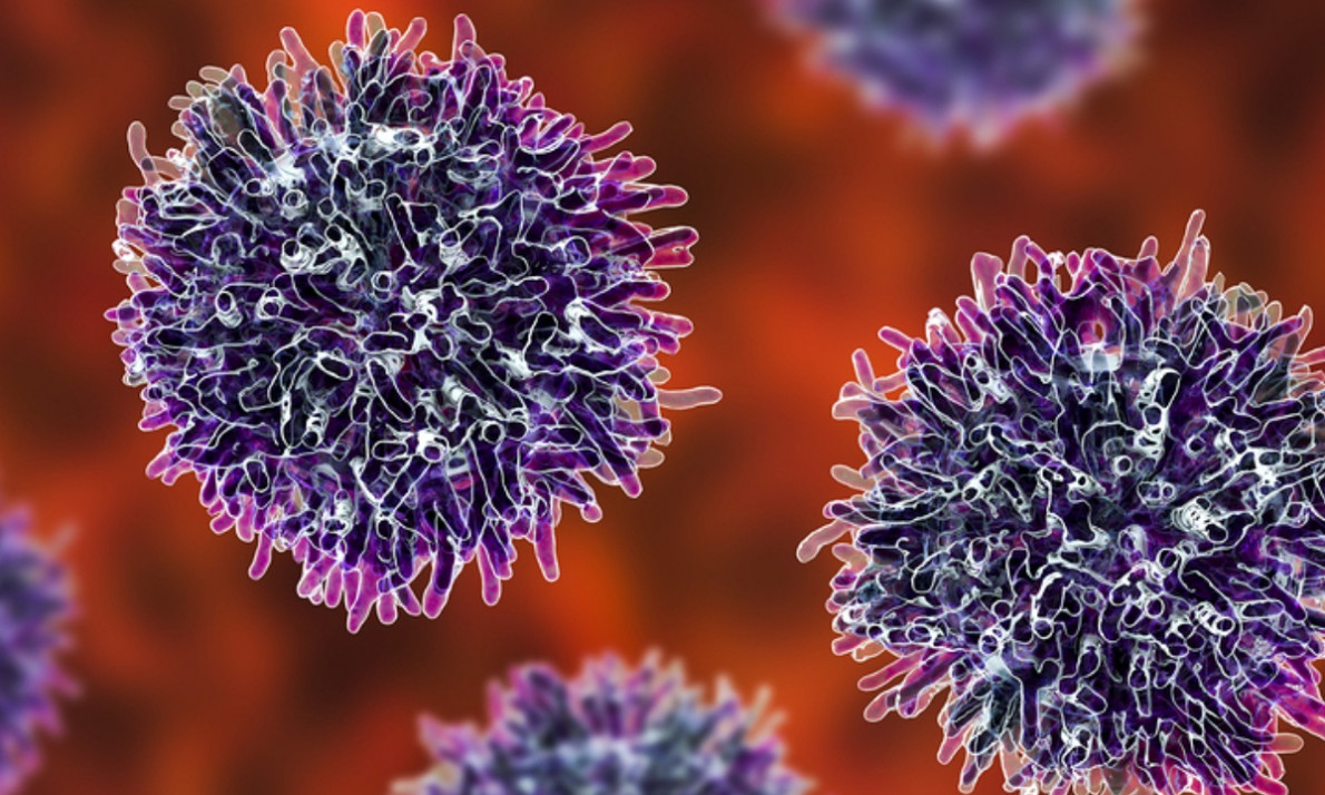 6 τροφές που μειώνουν τον κίνδυνο καρκίνου (εικόνες)