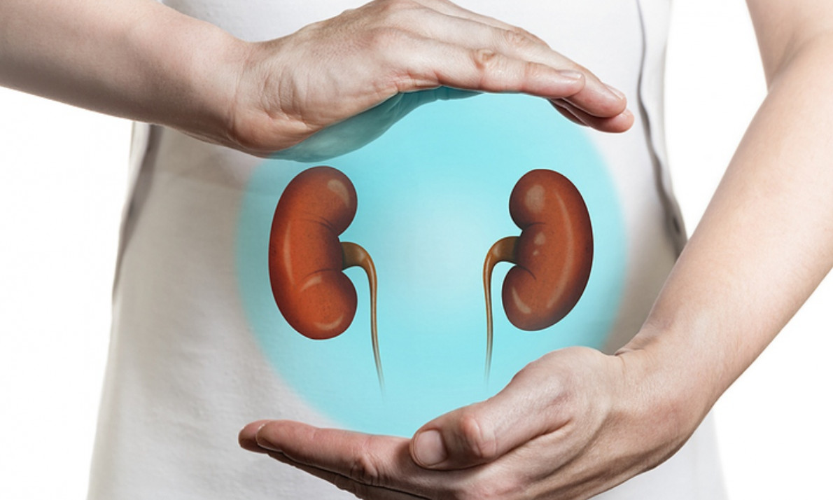 Πώς θα προστατέψετε τα νεφρά σας καθώς μεγαλώνετε (εικόνες)