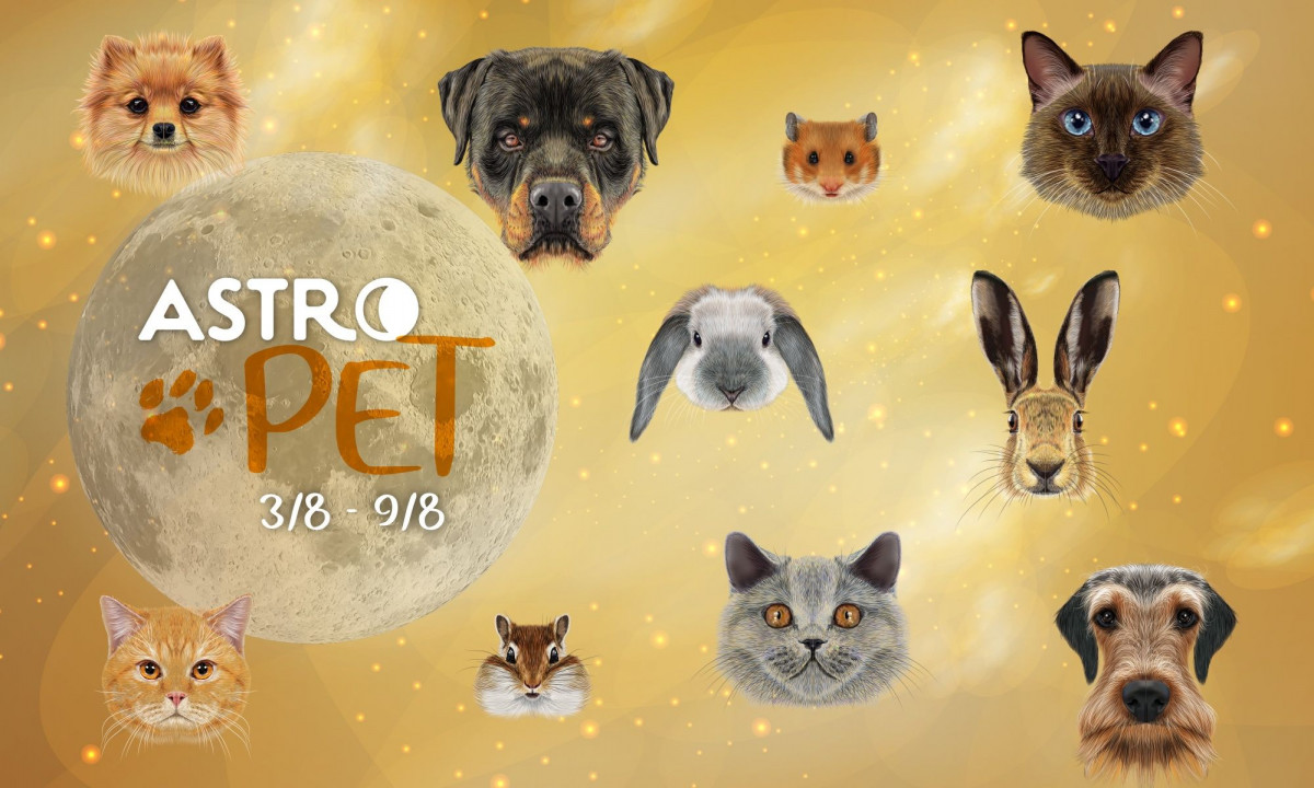 AstroPet από 03/08 έως 09/08: Εβδομαδιαίες προβλέψεις για το κατοικίδιό σου