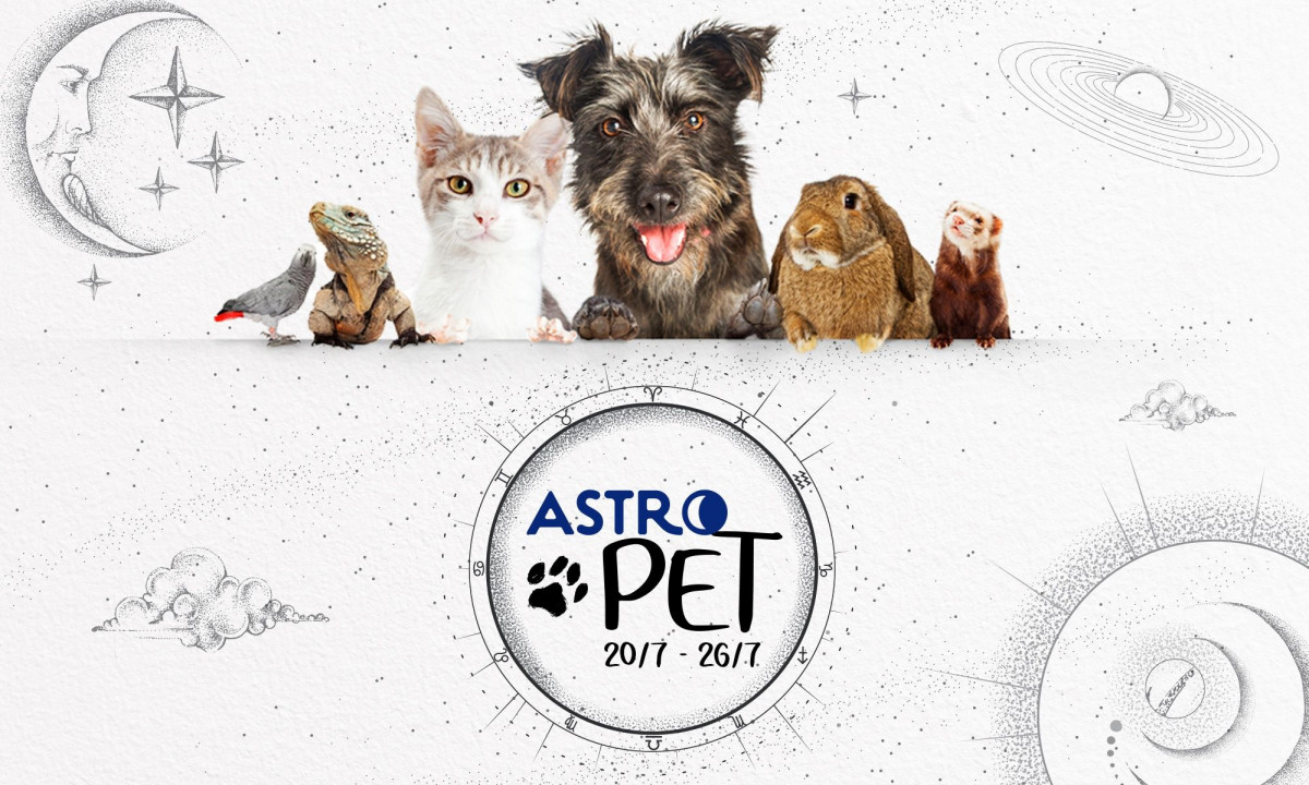 AstroPet από 20/07 έως 26/07: Εβδομαδιαίες προβλέψεις για το κατοικίδιό σου