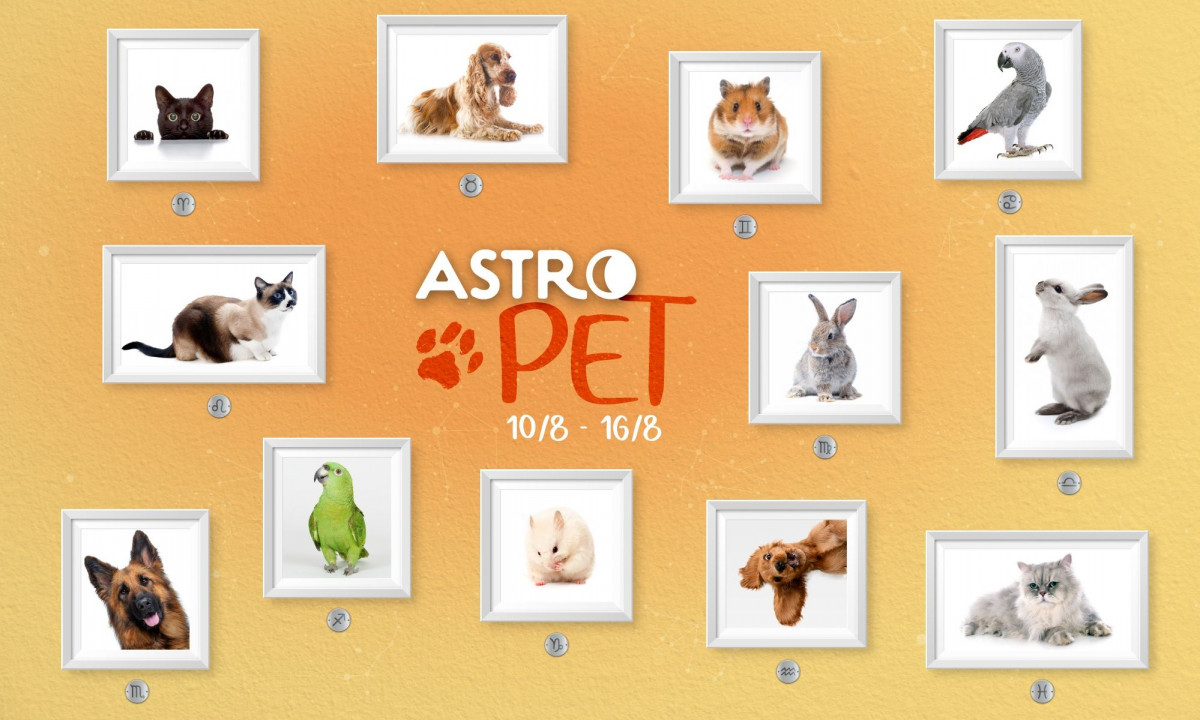 AstroPet από 10/08 έως 16/08: Εβδομαδιαίες προβλέψεις για το κατοικίδιό σου