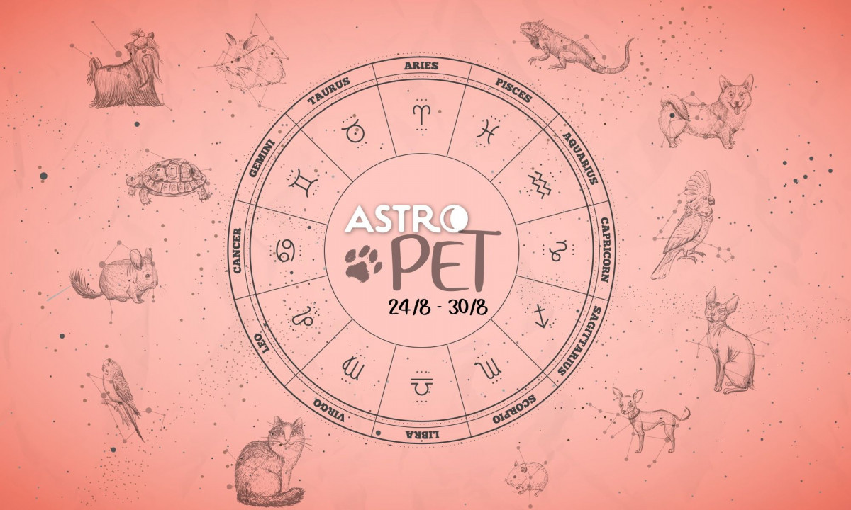 AstroPet από 24/08 έως 30/08: Εβδομαδιαίες προβλέψεις για το κατοικίδιό σου