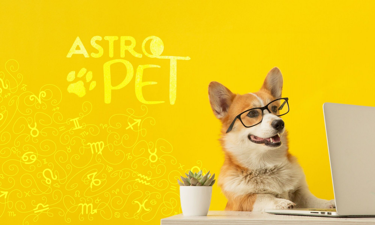 AstroPet από 09/09 έως 15/09: Εβδομαδιαίες προβλέψεις για το κατοικίδιό σου