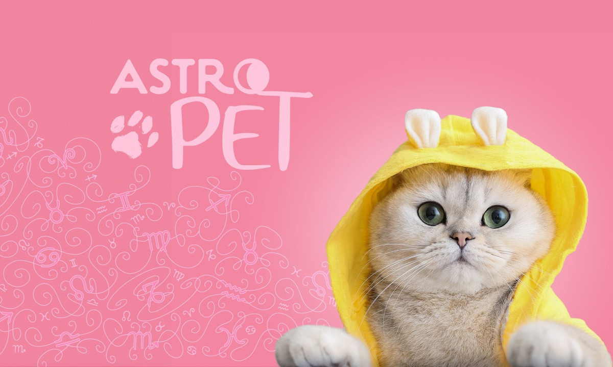 AstroPet από 16/09 έως 22/09: Εβδομαδιαίες προβλέψεις για το κατοικίδιό σου