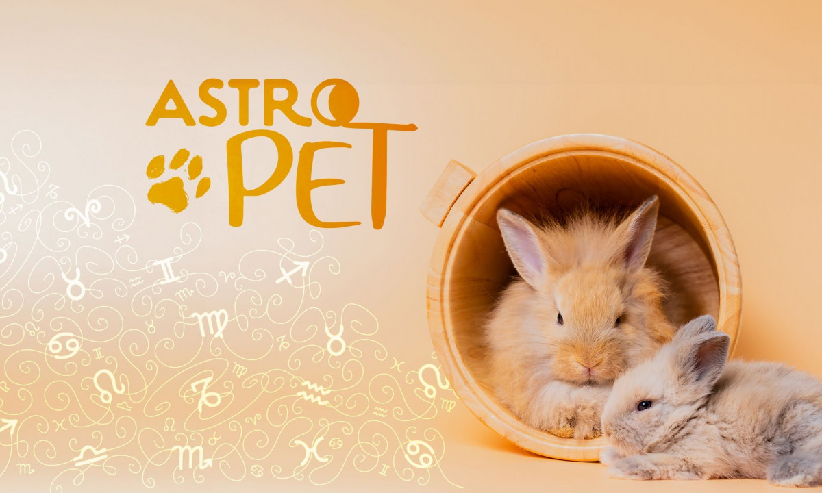 AstroPet από 23/09 έως 29/09: Εβδομαδιαίες προβλέψεις για το κατοικίδιό σου