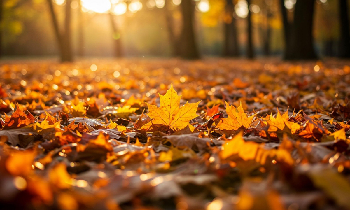 Διάβασε την προσωπική σου πρόβλεψη, για σήμερα 30/10/2025