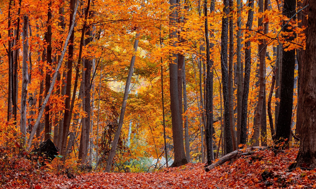 Διάβασε την προσωπική σου πρόβλεψη, για σήμερα 28/10/2025
