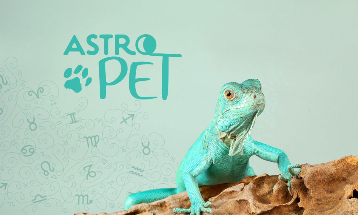 AstroPet από 30/09 έως 06/10: Εβδομαδιαίες προβλέψεις για το κατοικίδιό σου