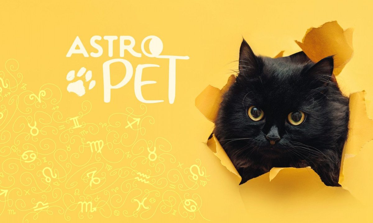 AstroPet από 07/10 έως 13/10: Εβδομαδιαίες προβλέψεις για το κατοικίδιό σου