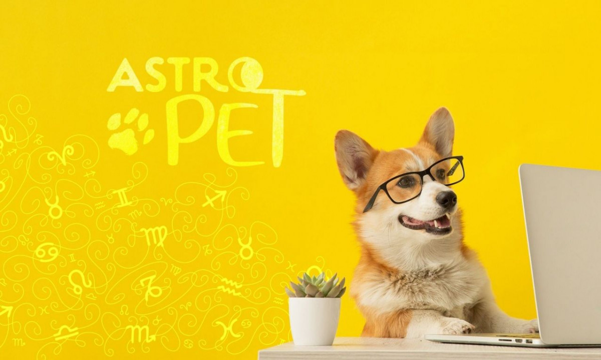 AstroPet από 28/10 έως 03/11: Εβδομαδιαίες προβλέψεις για το κατοικίδιό σου