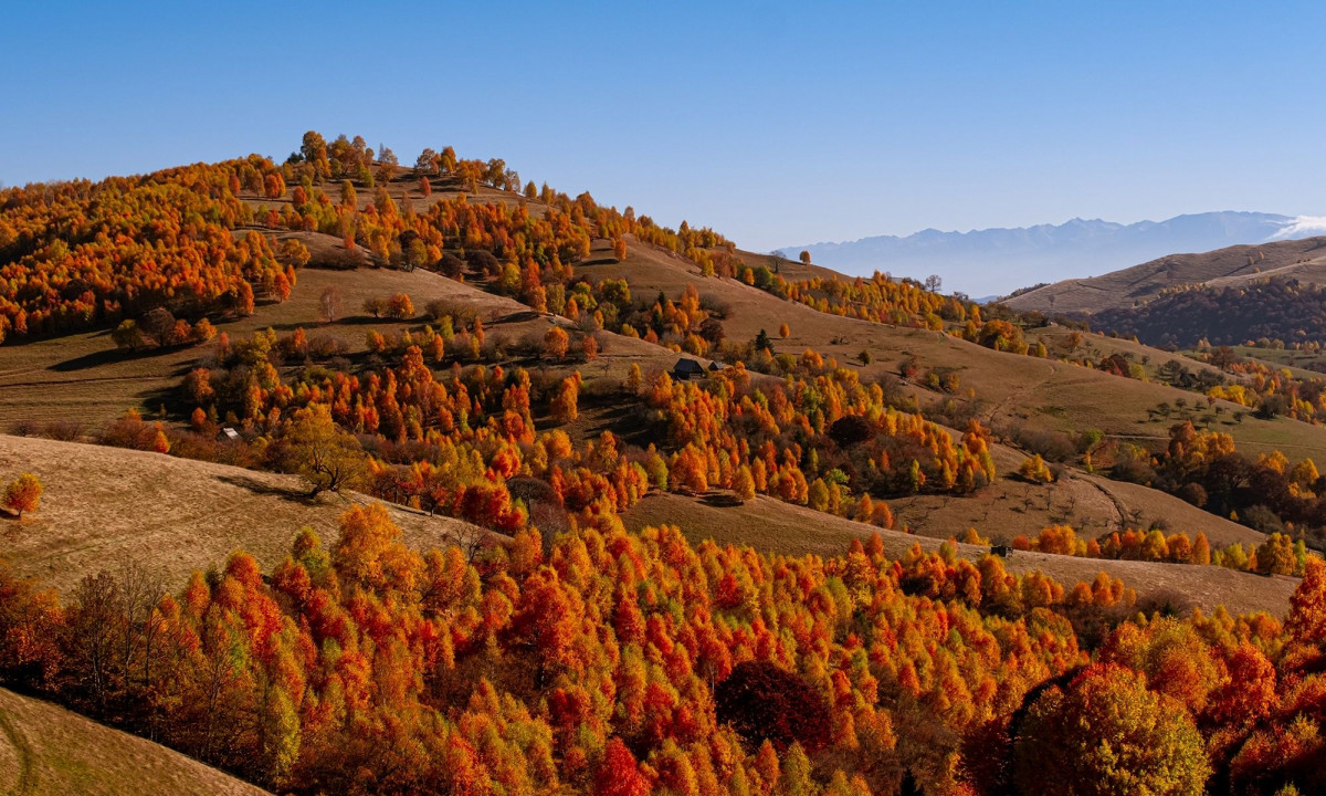 Διάβασε την προσωπική σου πρόβλεψη, για σήμερα 09/11/2025