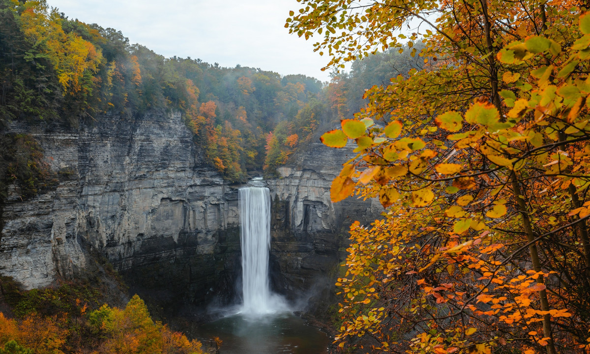 Διάβασε την προσωπική σου πρόβλεψη, για σήμερα 11/11/2025