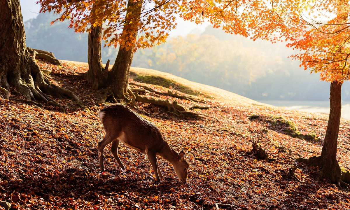 Διάβασε την προσωπική σου πρόβλεψη, για σήμερα 16/11/2025