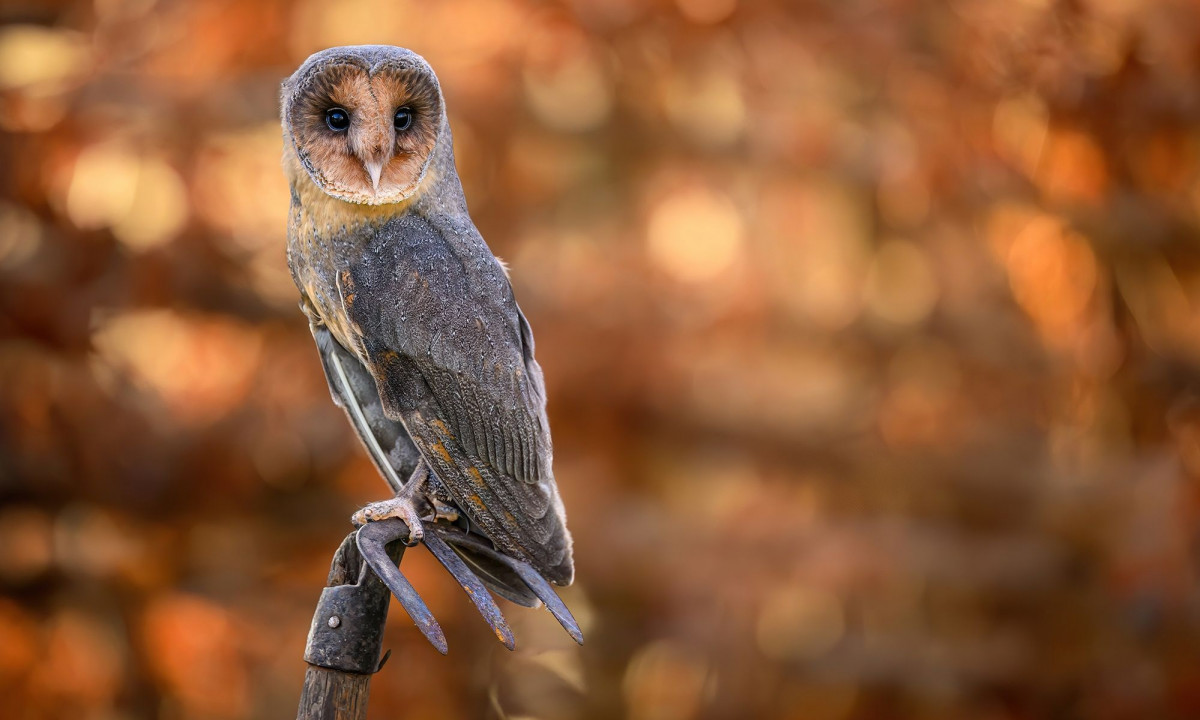 Διάβασε την προσωπική σου πρόβλεψη, για σήμερα 12/11/2025