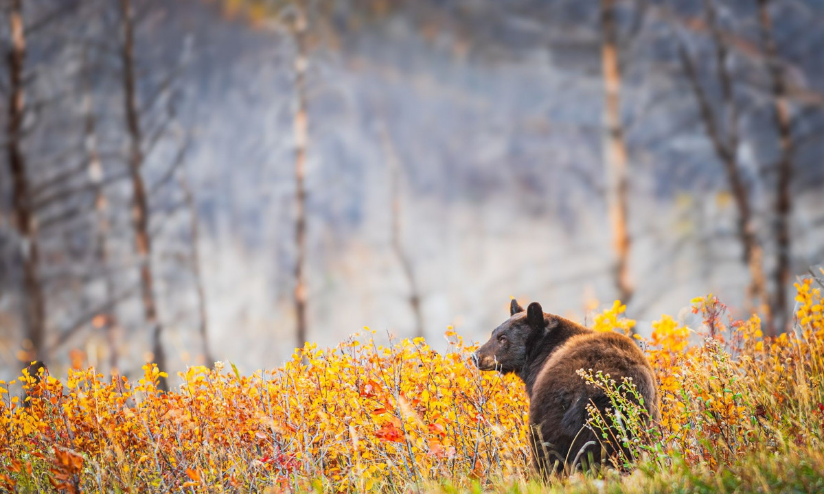 Διάβασε την προσωπική σου πρόβλεψη, για σήμερα 10/11/2025