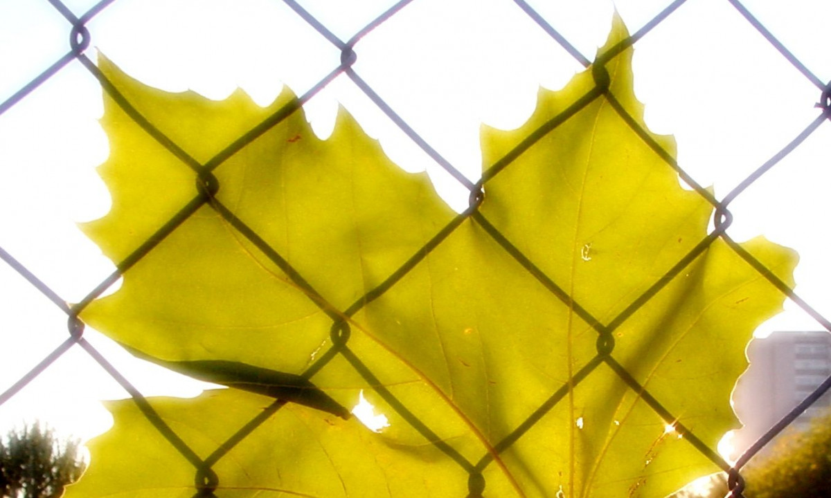 2 ζώδια θα αντιμετωπίσουν αρκετές προβληματικές καταστάσεις, σήμερα 08/11 – Δες, αν είσαι μέσα!