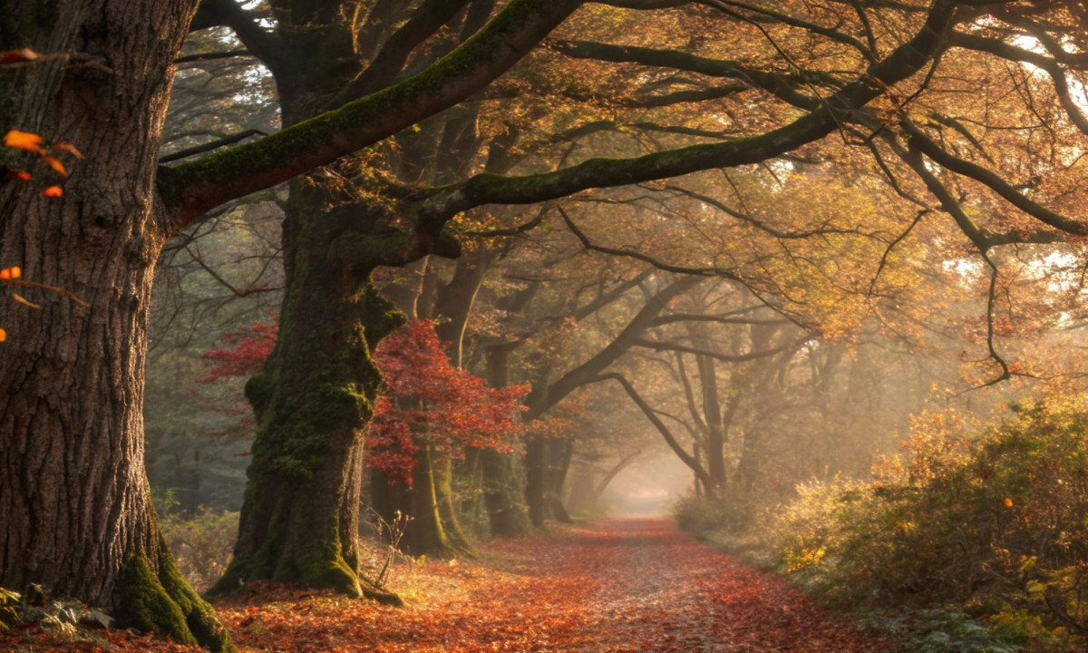 Διάβασε την προσωπική σου πρόβλεψη, για σήμερα 30/11/2025