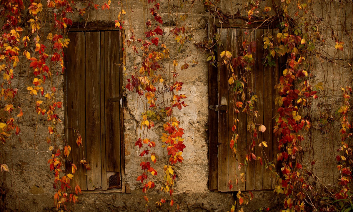 Διάβασε την προσωπική σου πρόβλεψη, για σήμερα 23/11/2025