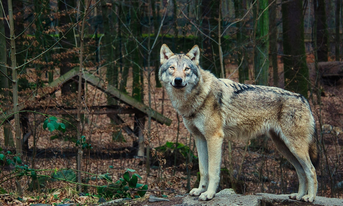 Διάβασε την προσωπική σου πρόβλεψη, για σήμερα 26/11/2025