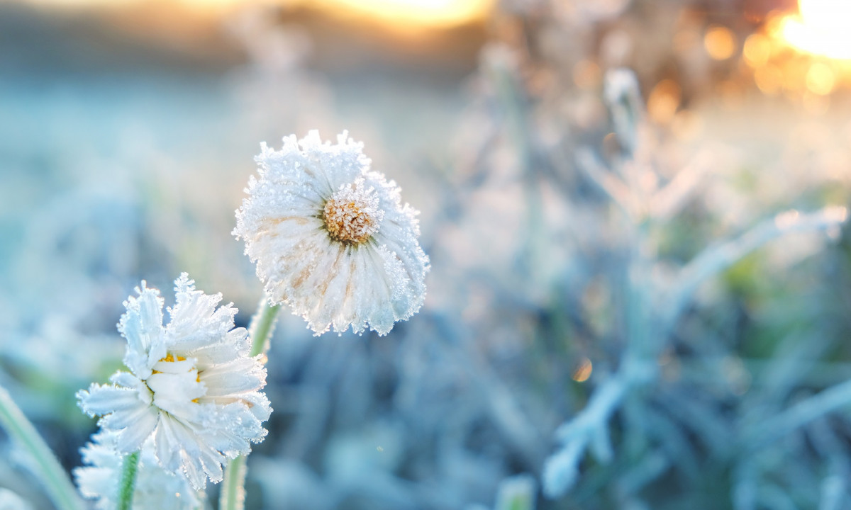 Διάβασε την προσωπική σου πρόβλεψη, για σήμερα 08/12/2025