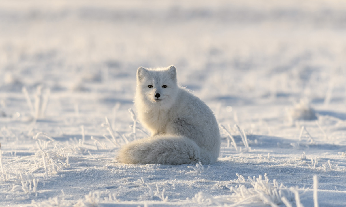 Διάβασε την προσωπική σου πρόβλεψη, για σήμερα 09/12/2025