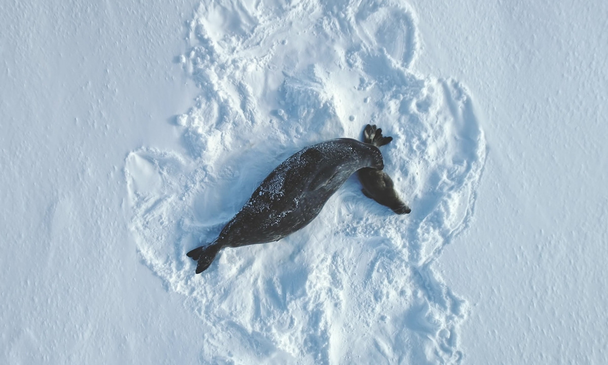 Διάβασε την προσωπική σου πρόβλεψη, για σήμερα 23/12/2025