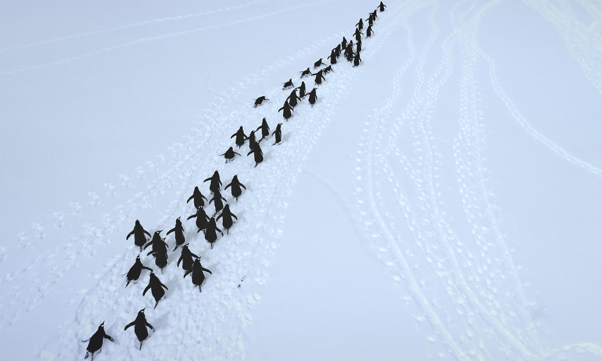 Διάβασε την προσωπική σου πρόβλεψη, για σήμερα 27/12/2025