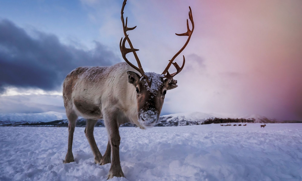 Διάβασε την προσωπική σου πρόβλεψη, για σήμερα 25/12/2025