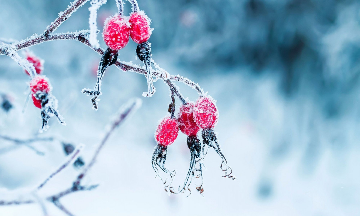 Διάβασε την προσωπική σου πρόβλεψη, για σήμερα 18/12/2025