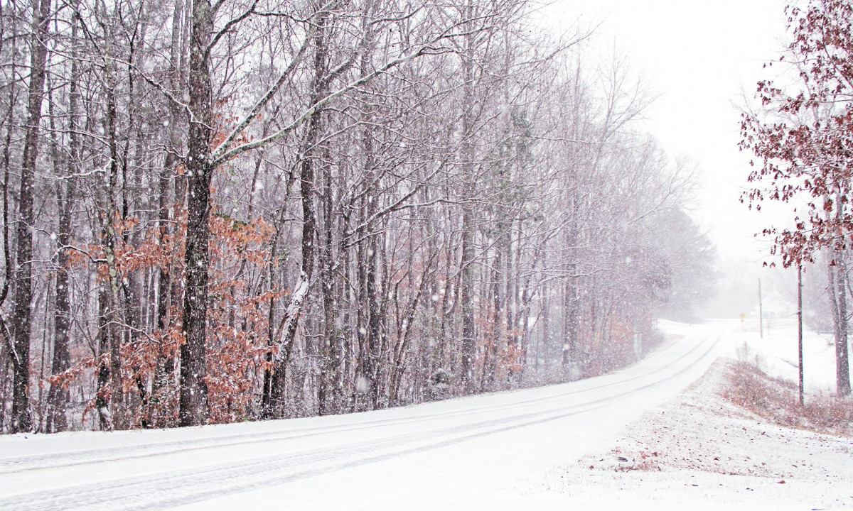Διάβασε την προσωπική σου πρόβλεψη, για σήμερα 16/12/2025