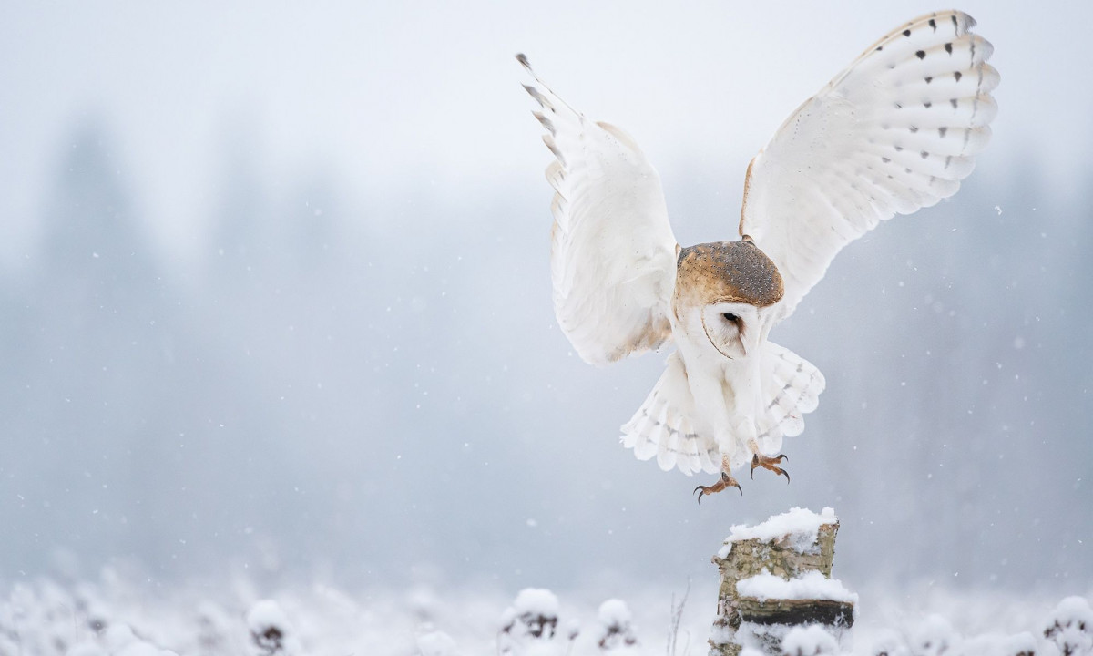Διάβασε την προσωπική σου πρόβλεψη, για σήμερα 03/12/2025