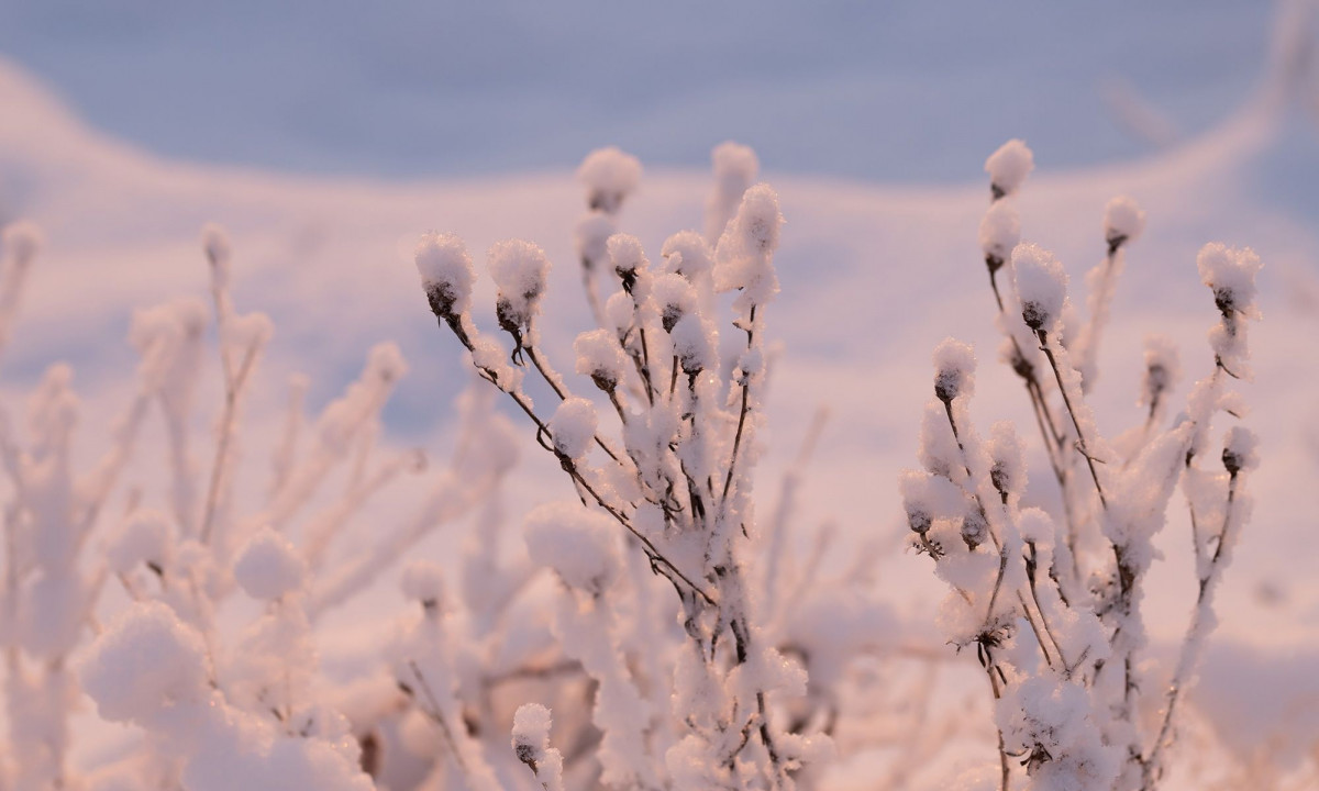 Διάβασε την προσωπική σου πρόβλεψη, για σήμερα 22/12/2025