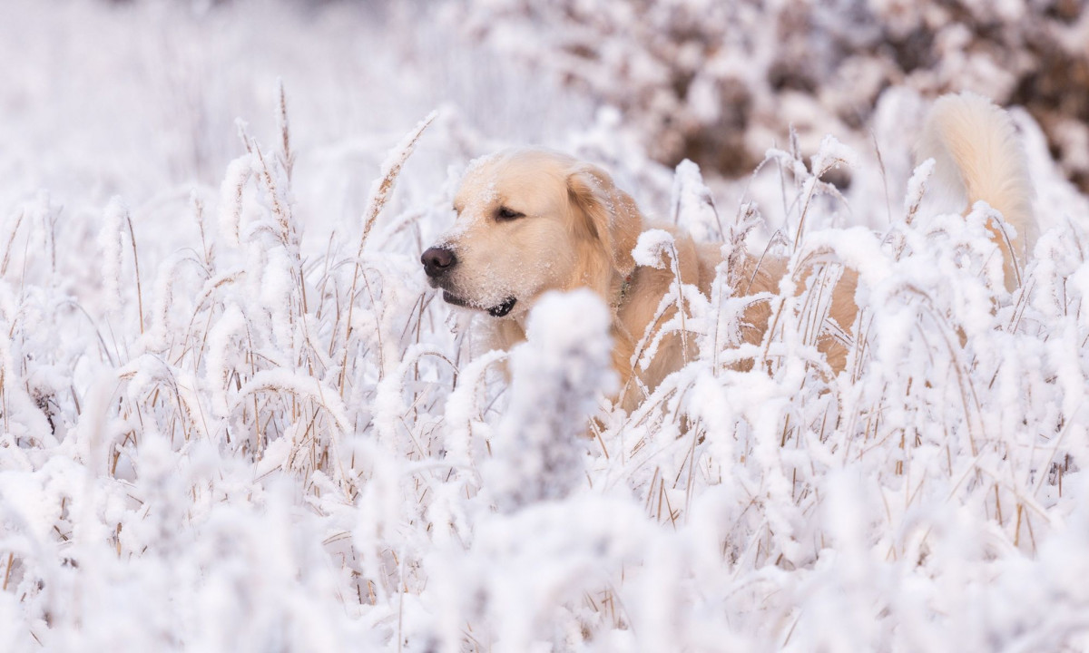 Διάβασε την προσωπική σου πρόβλεψη, για σήμερα 19/12/2025